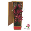 Cymbidium-en-caja