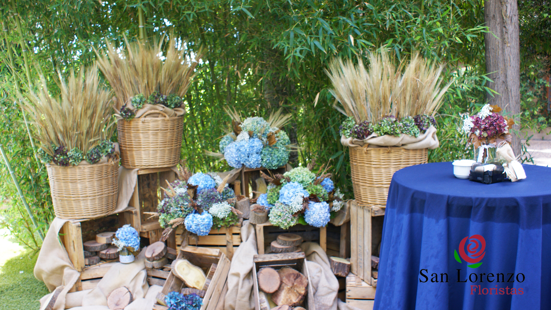 Estudio de Ana - Floristería San Lorenzo