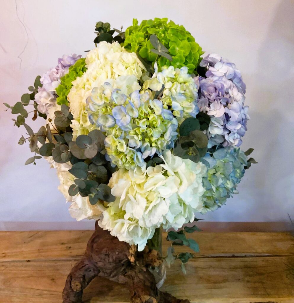 Floristería San Lorenzo