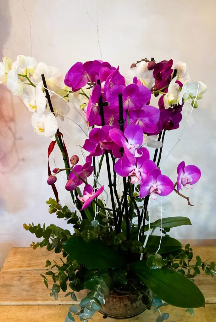 Floristería San Lorenzo