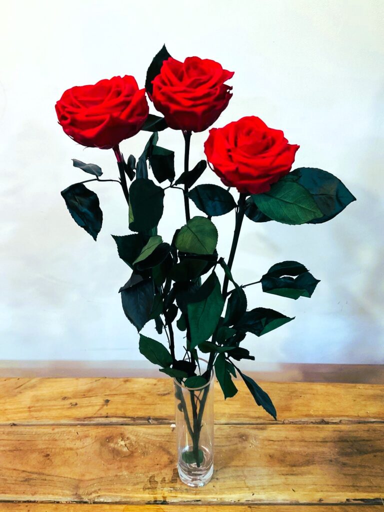 Floristería San Lorenzo