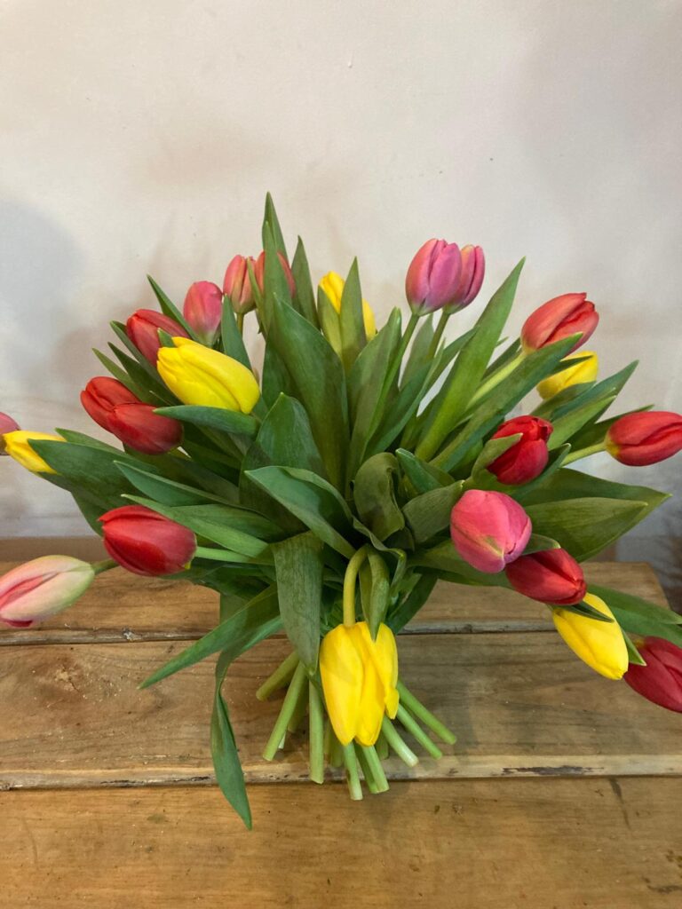 Floristería San Lorenzo