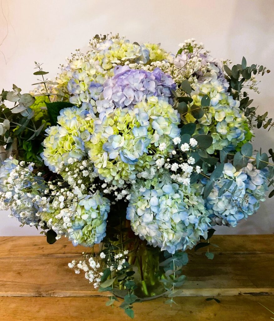 Floristería San Lorenzo