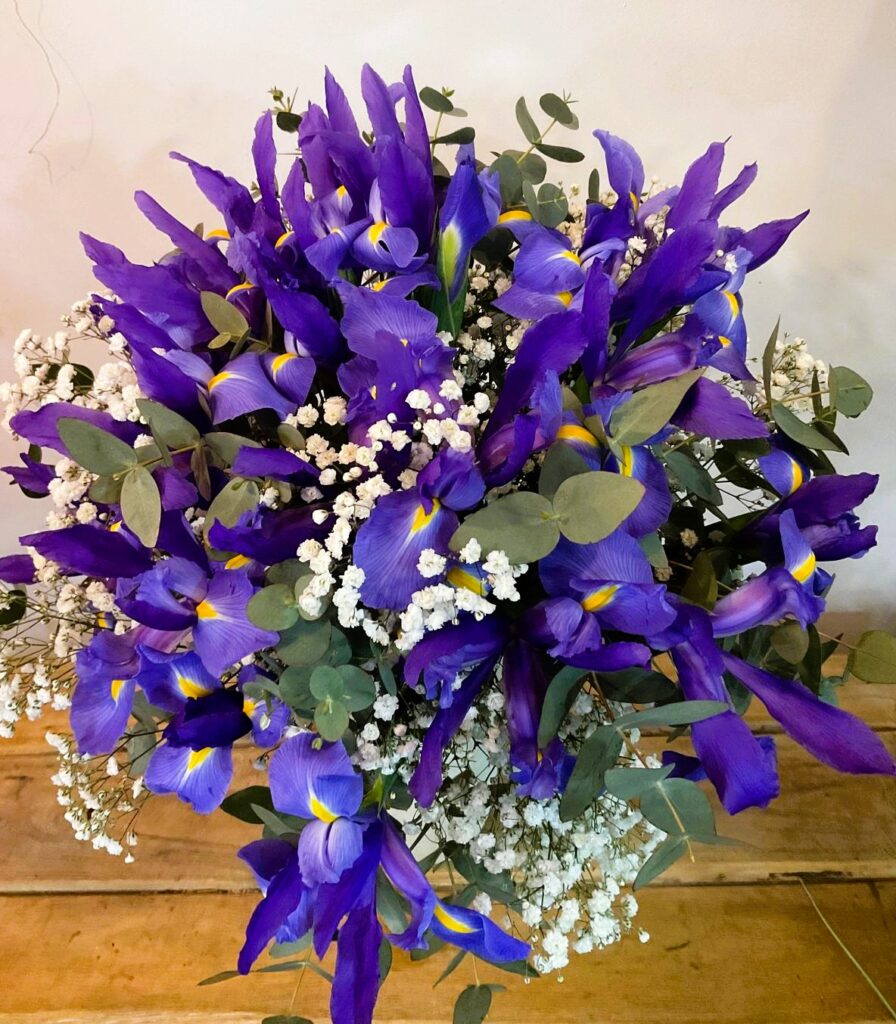 Floristería San Lorenzo