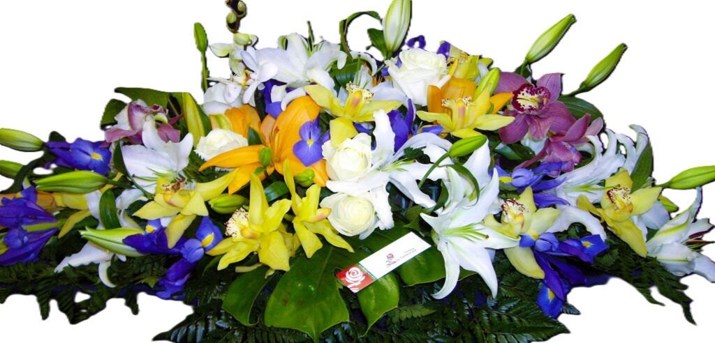 Floristería San Lorenzo